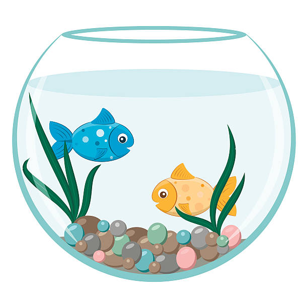 two fish in a fishbowl