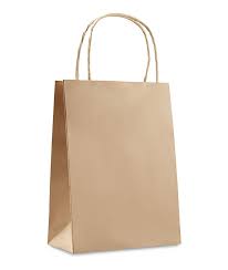 paper bag with handles