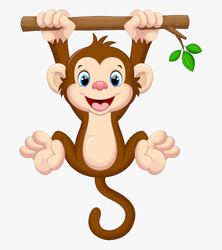 monkey hanging from a branch
