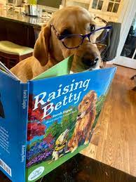 Fenway the dog with book Raising Betty