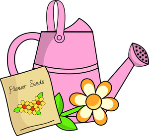 watering can, seeds and a flower