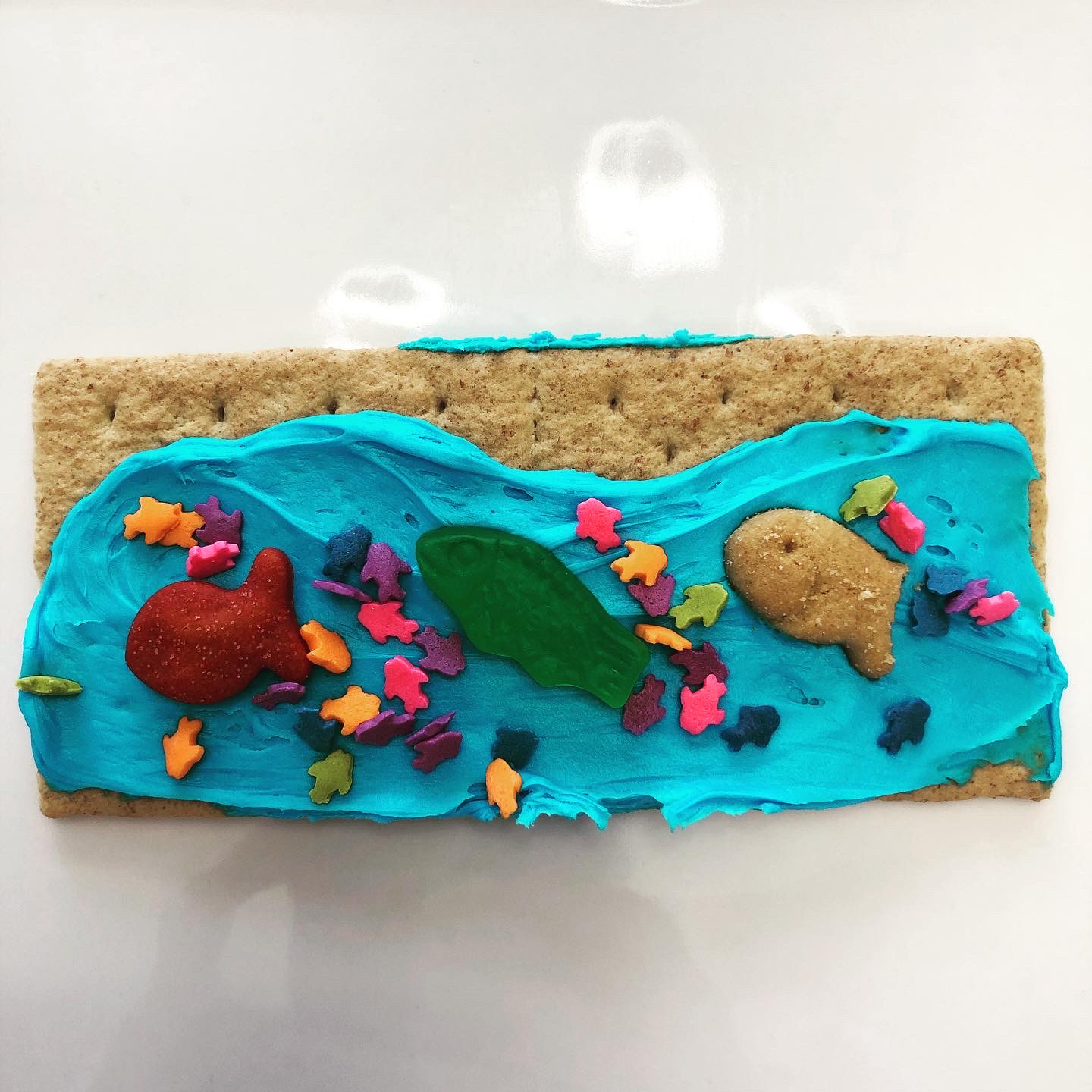 graham cracker covered with frosting and candy to look like an underwater scene