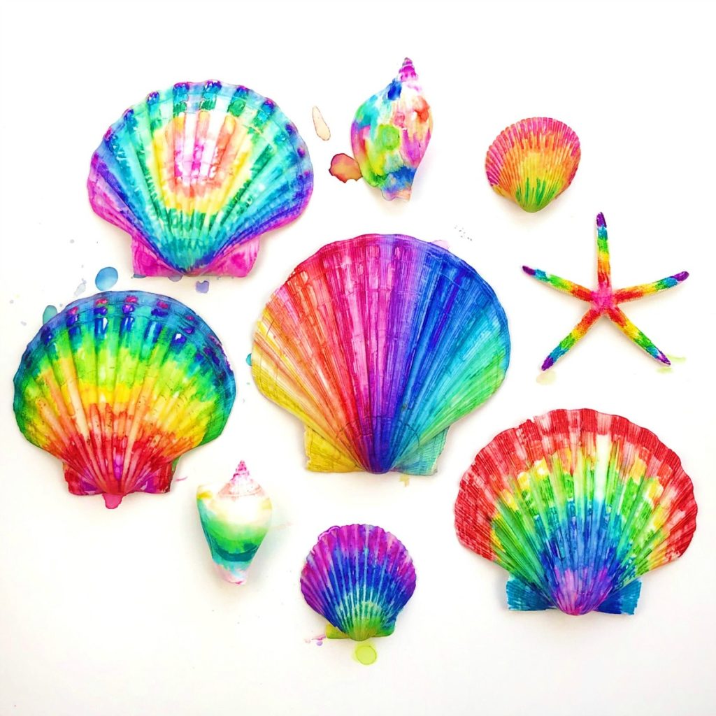 image of tie-dyed sea shells