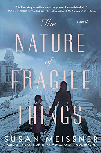 The Nature of Fragile Things Book by Susan Meissner book cover