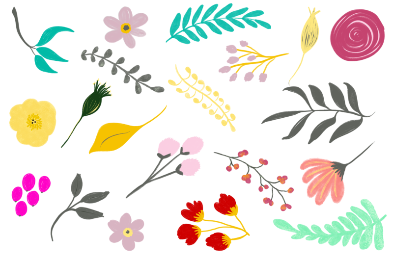 flowers and plants