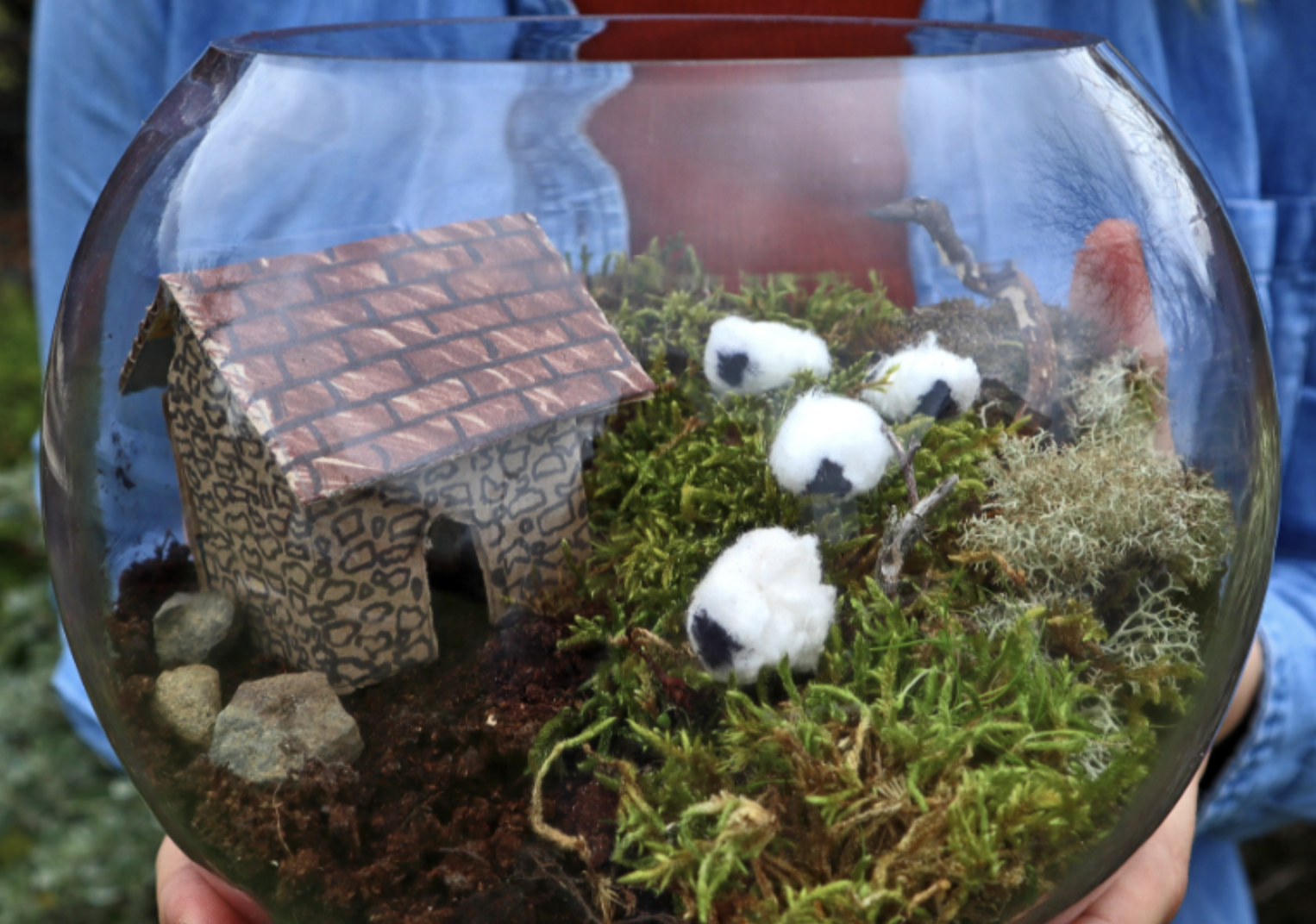 Image of small cotton formed sheep on a moss countryside in a terrarium