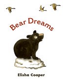 Image for "Bear Dreams"