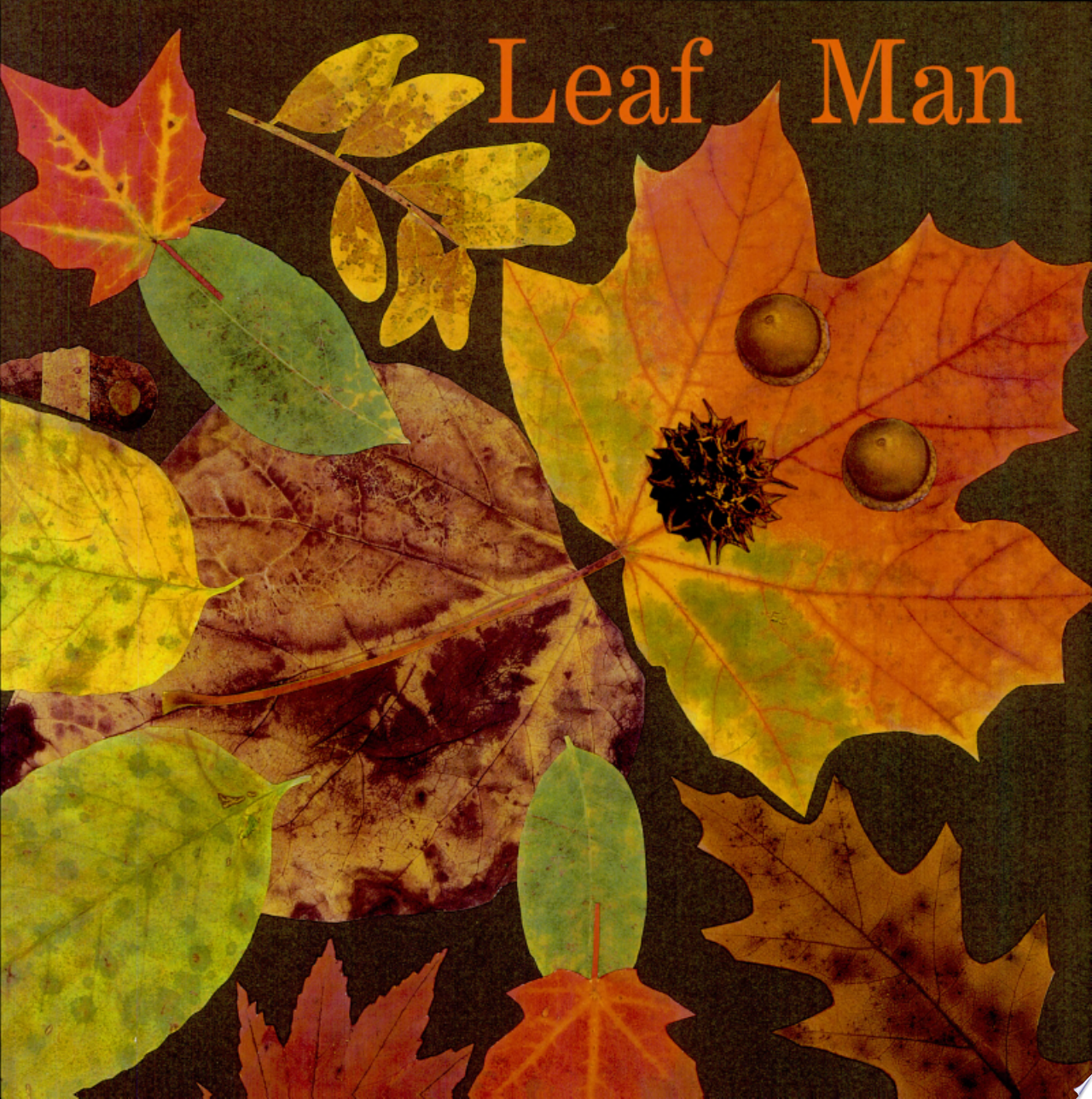 Image for "Leaf Man"