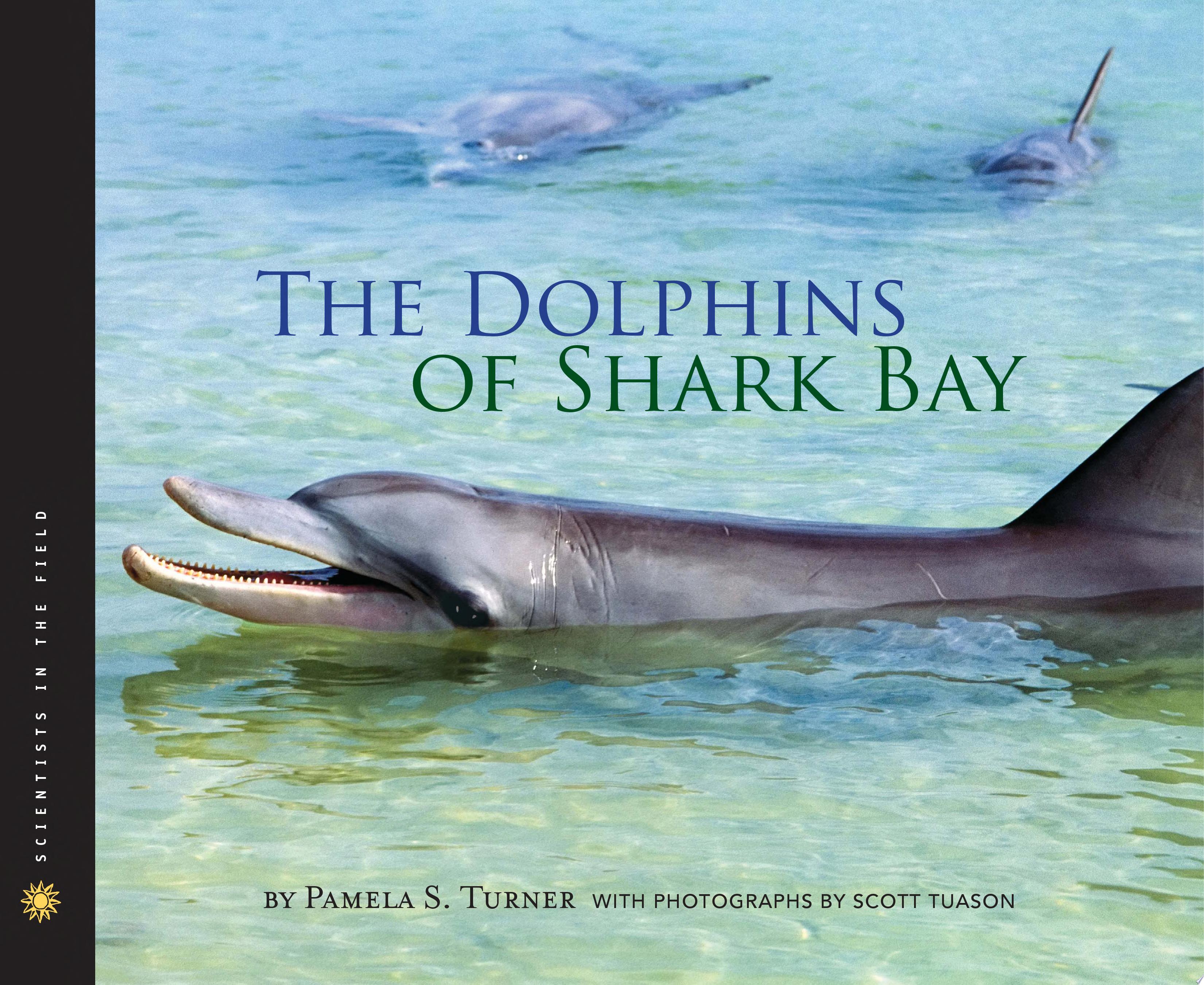 Image for "The Dolphins of Shark Bay"