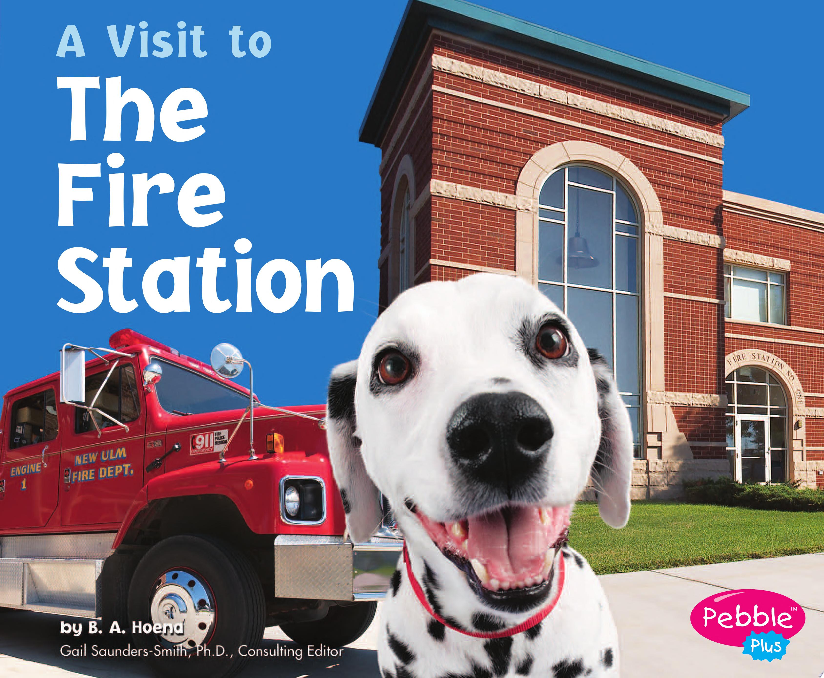 Image for "The Fire Station"
