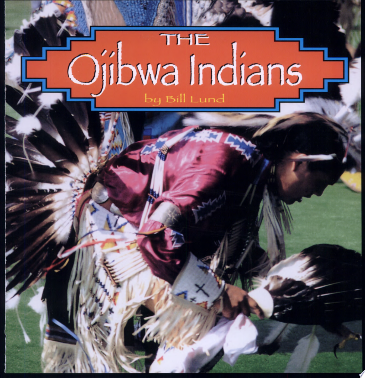 Image for "The Ojibwa Indians"