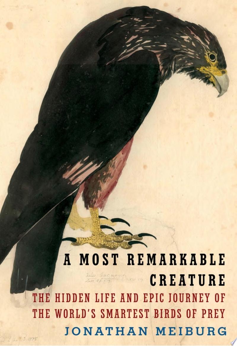 Image for "A Most Remarkable Creature"