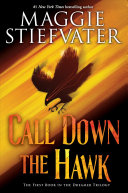 Image for "Call Down the Hawk"