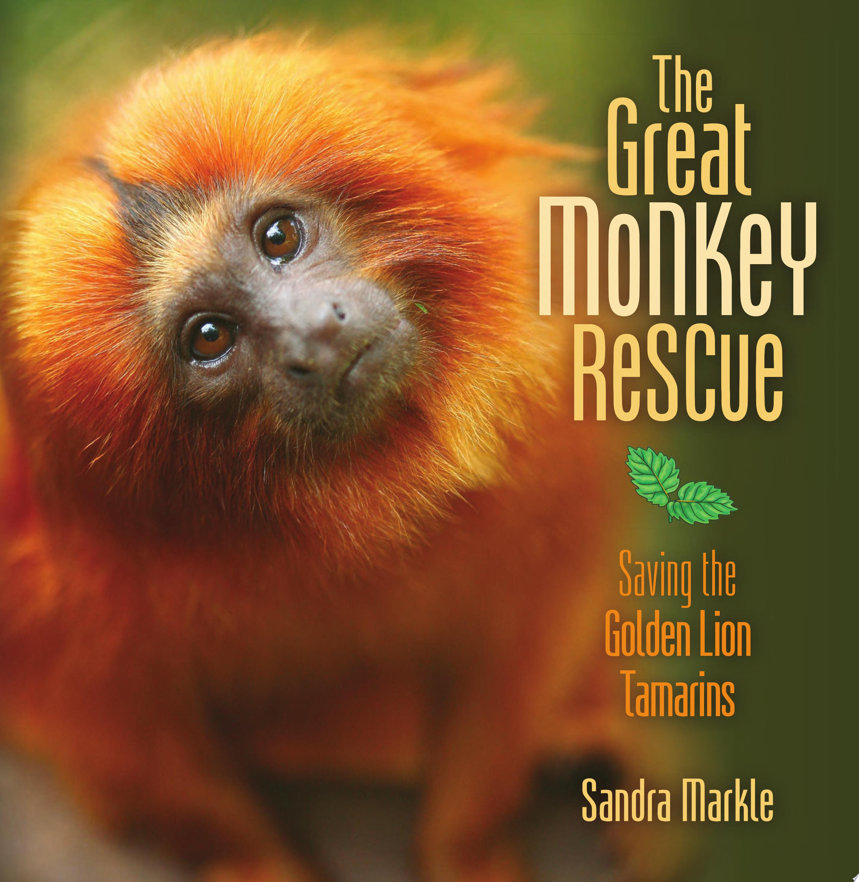 Image for "The Great Monkey Rescue: saving the golden lion tamarins"