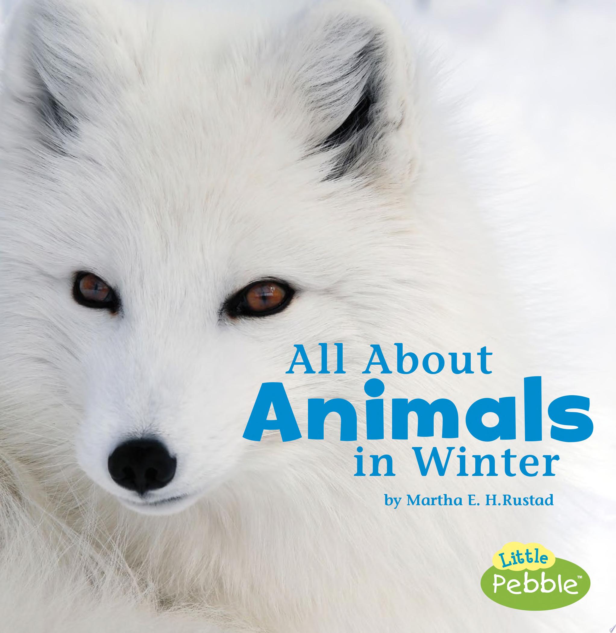 Image for "All about Animals in Winter"
