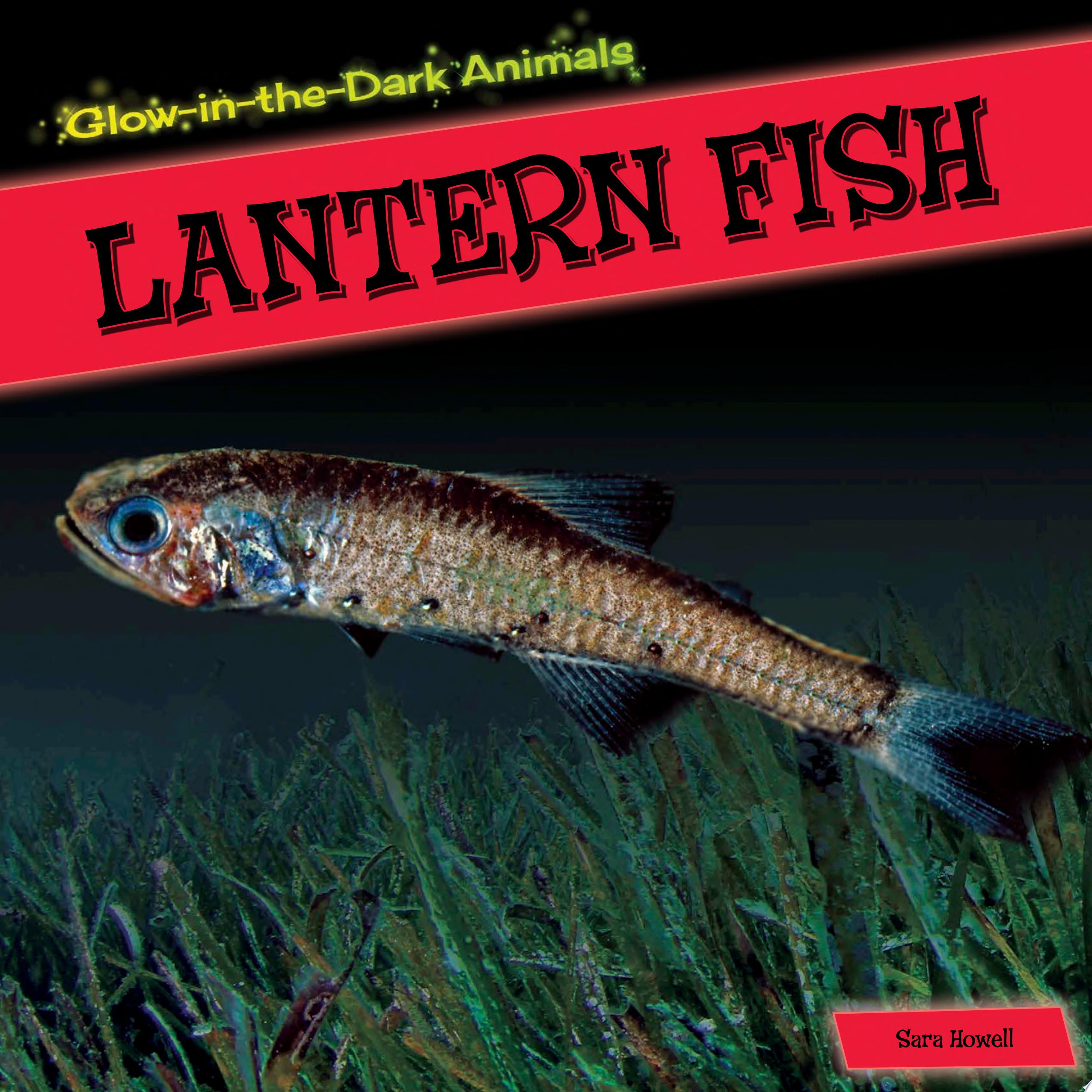 Image for "Lantern Fish"