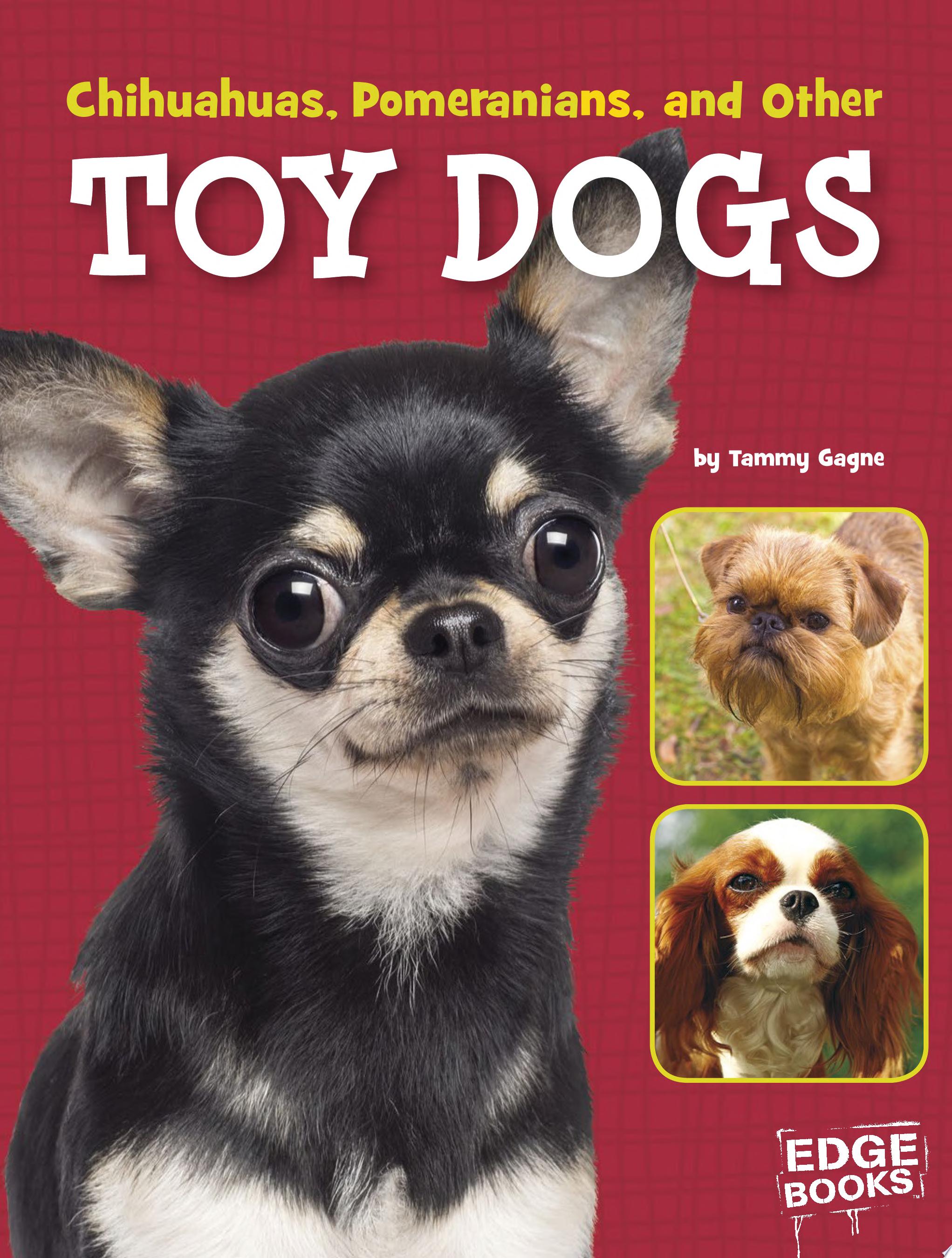 Image for "Chihuahuas, Pomeranians, and Other Toy Dogs"