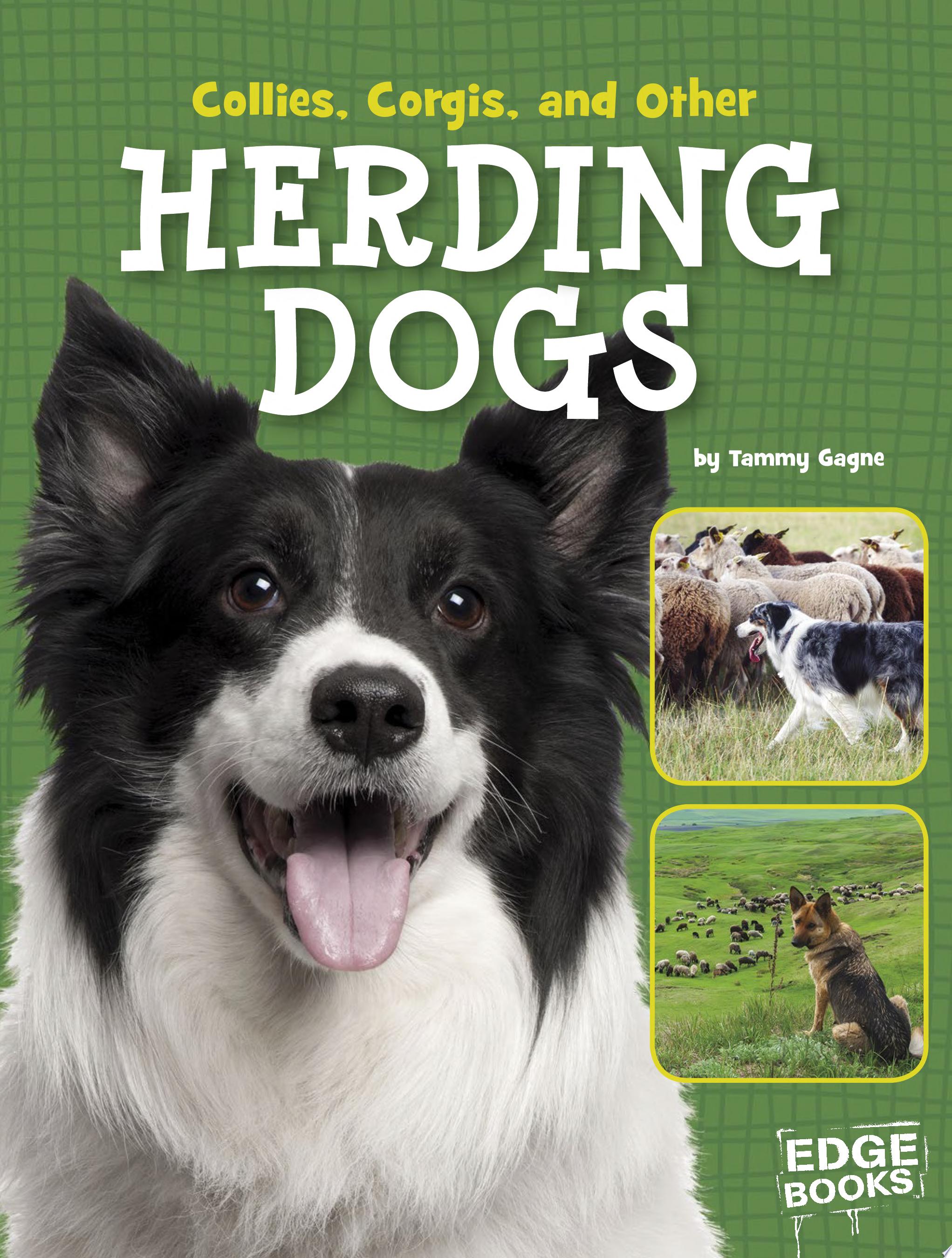 Image for "Collies, Corgis, and Other Herding Dogs"
