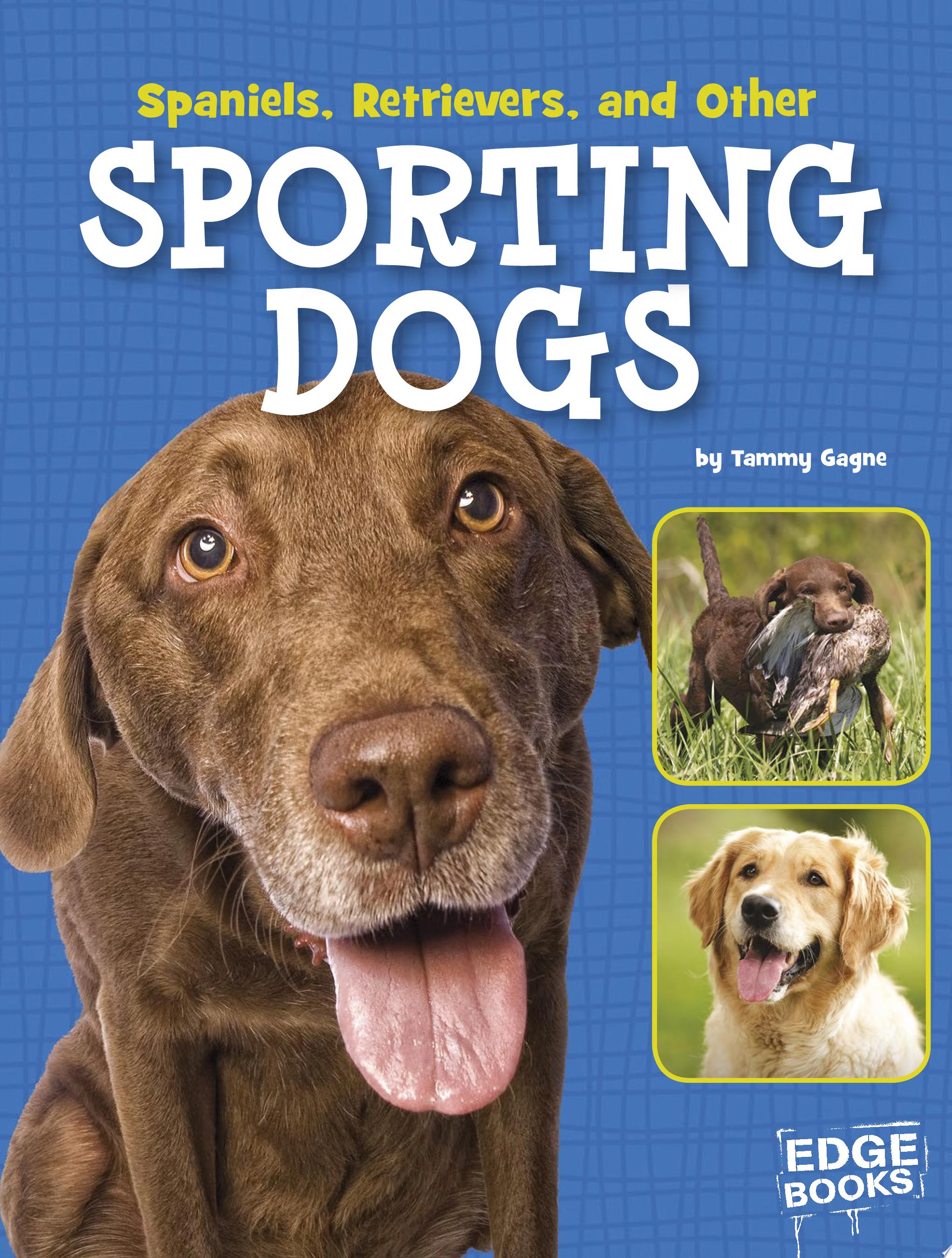 Image for "Spaniels, Retrievers, and Other Sporting Dogs"