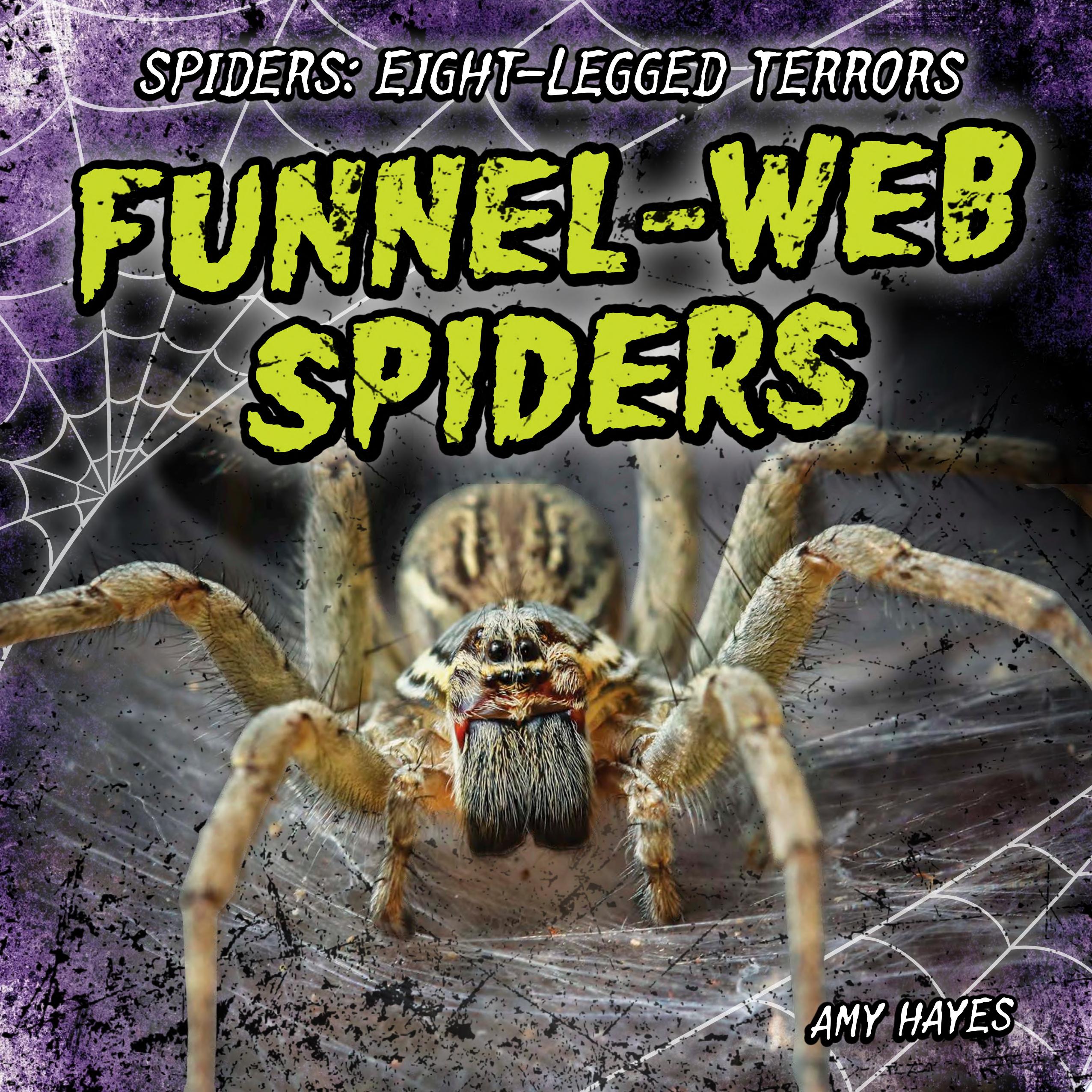 Image for "Funnel-Web Spiders"