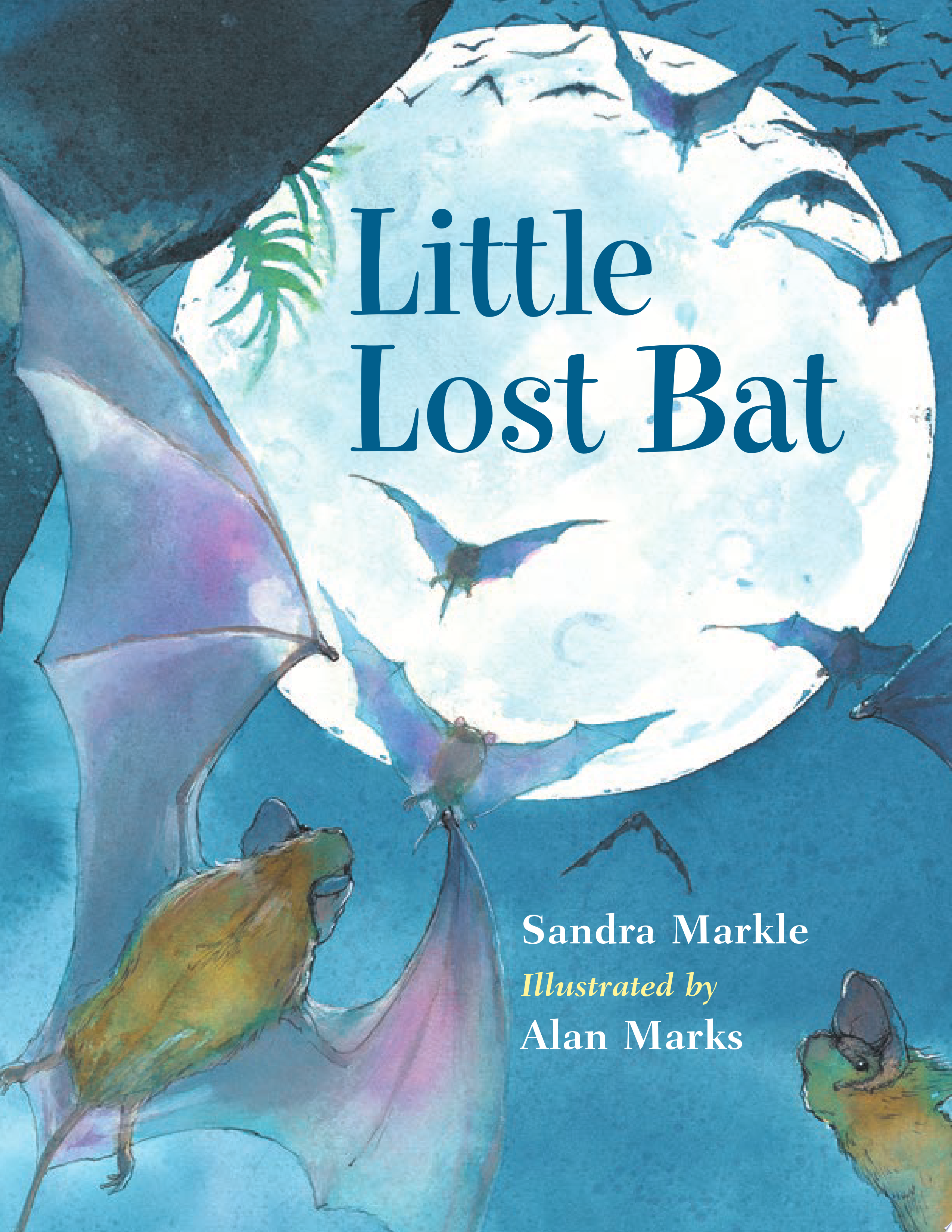 Image for "Little Lost Bat"