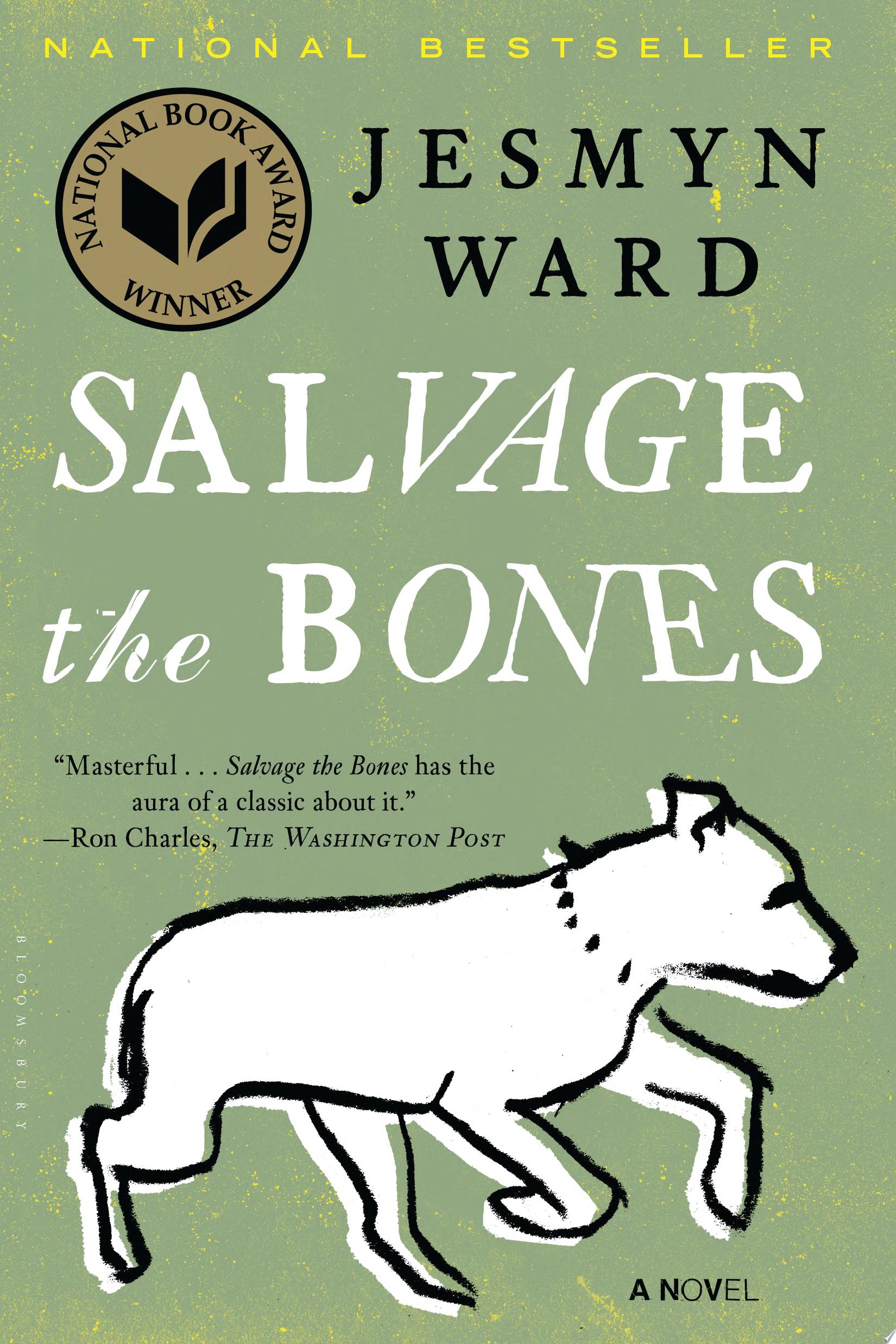 Image for "Salvage the Bones"