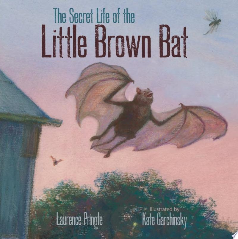 Image for "The Secret Life of the Little Brown Bat"