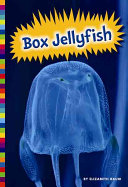 Image for "Box Jellyfish"