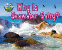 Image for "Why Is Seawater Salty?"