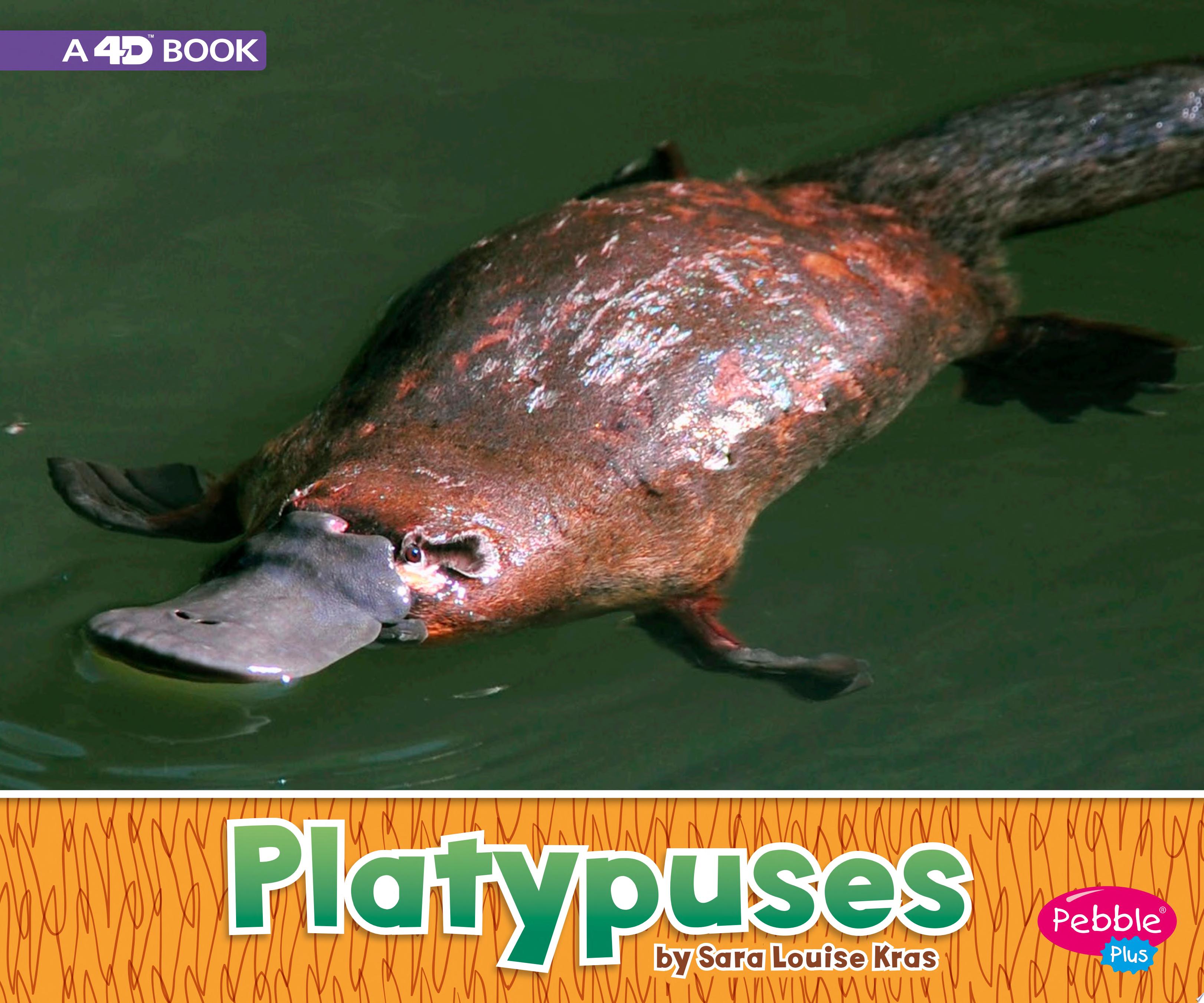 Image for "Platypuses"