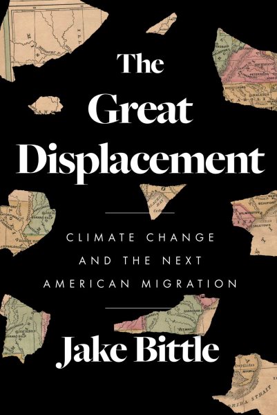 Image for "The Great Displacement"