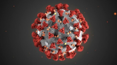 Coronavirus particle