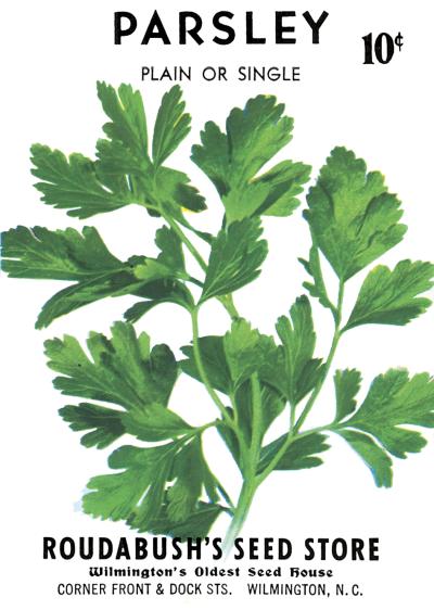 Image for "Parsley seed packet illustration"