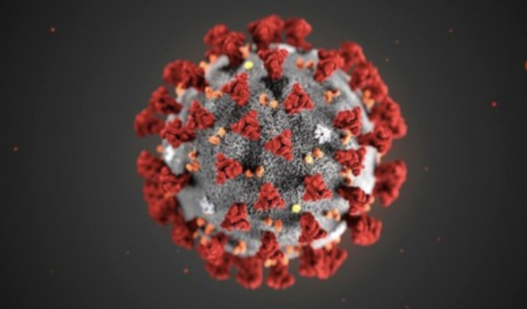 Coronavirus particle