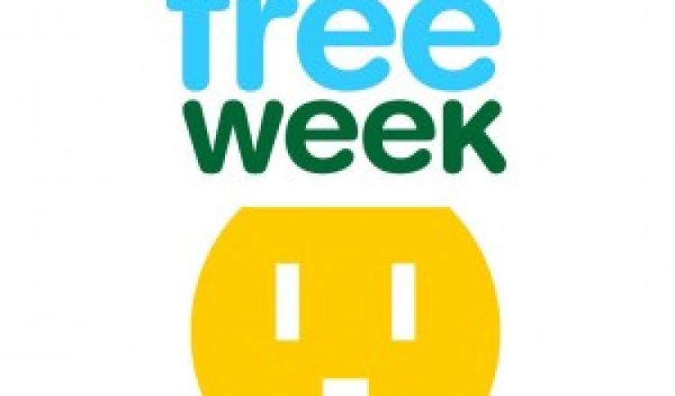 screen free week
