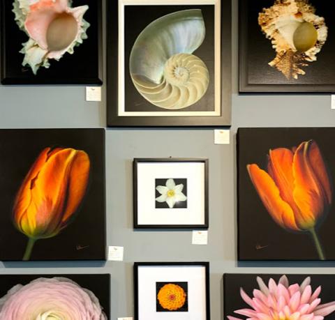 image of artwork in the gallery