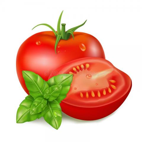 Tomatoes and basil