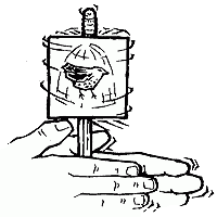 Image of a thaumatrope spinning