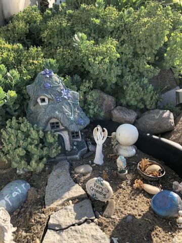 Fairy Garden