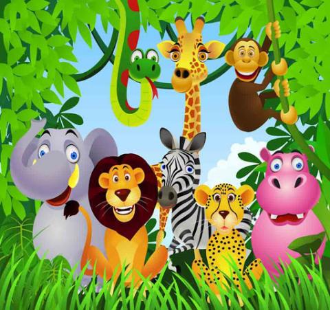 Jungle animals