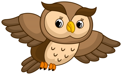 owl