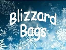 Blizzard Bags