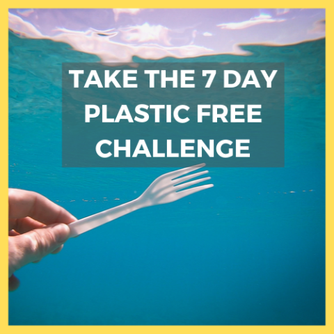 Plastic Free Challenge