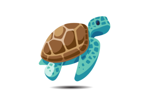 sea turtle