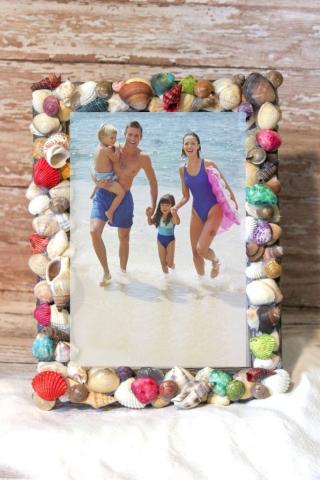 seashell frame