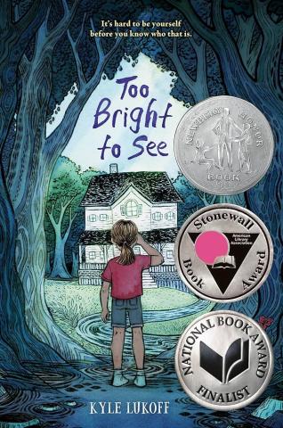 Book cover of Too Bright to See