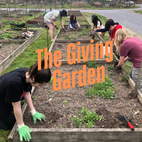 Image of teens working in garden