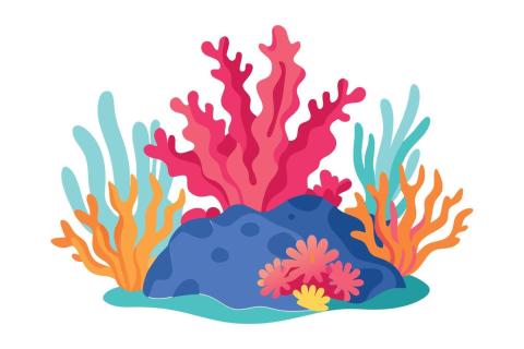 coral reef