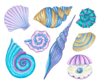 shells