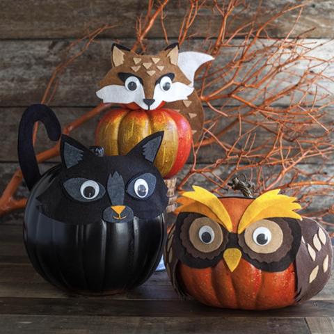 image of pumpkins that are decorated